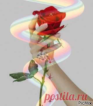 (65) Facebook