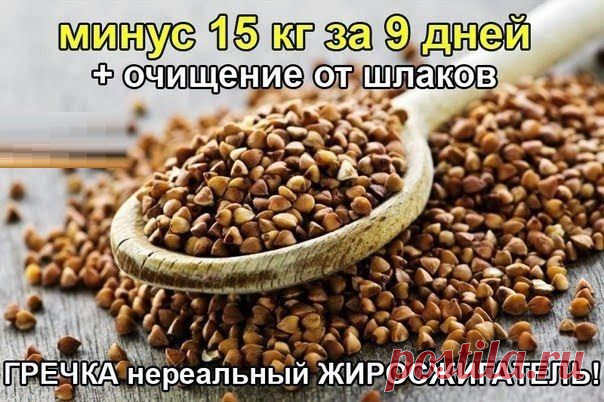 Всё самое интересное!: Кефирно-гречневая диета