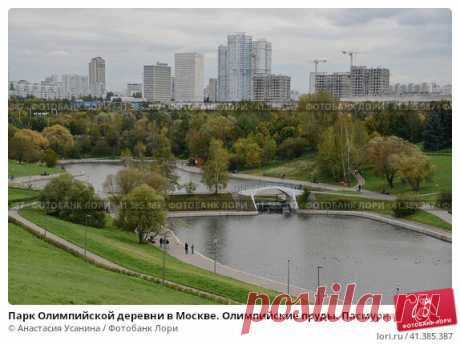 Парк Олимпийской деревни в Москве. Олимпийские пруды. Пасмурная погода в сентябре. (2016 год) Редакционное фото, фотограф Анастасия Усанина / Фотобанк Лори