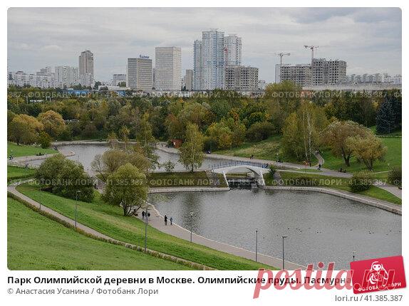 Парк Олимпийской деревни в Москве. Олимпийские пруды. Пасмурная погода в сентябре. (2016 год) Редакционное фото, фотограф Анастасия Усанина / Фотобанк Лори