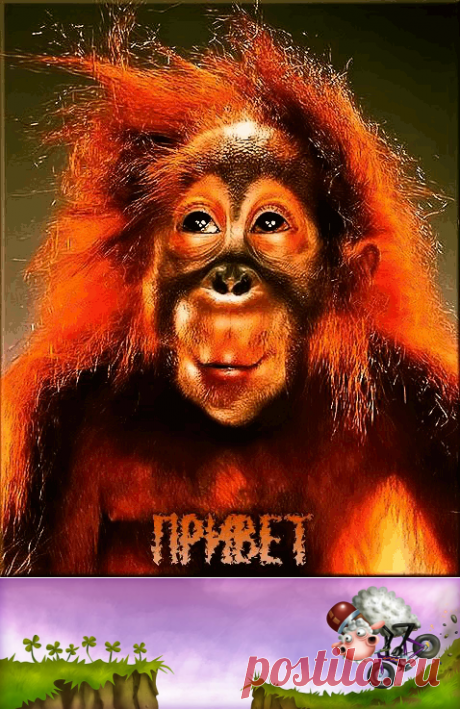 WEBNODE :: СМЕХ СКВОЗЬ СЛЕЗЫ