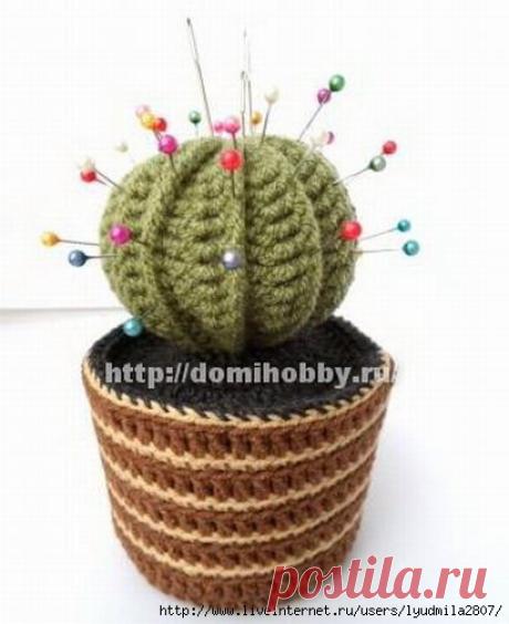 кактус игольница