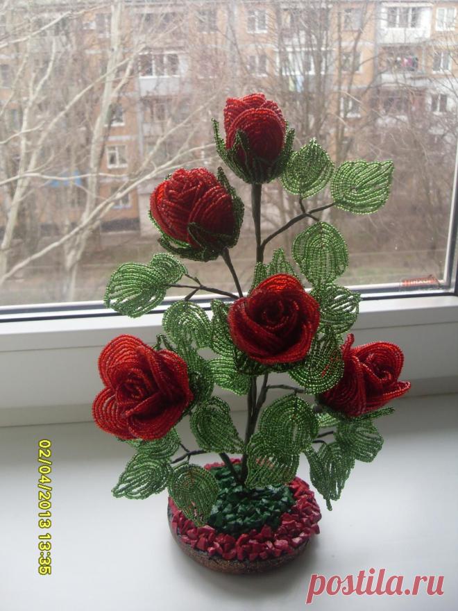 biser.info_74784_roza_1364993964.jpg (1200×1600)