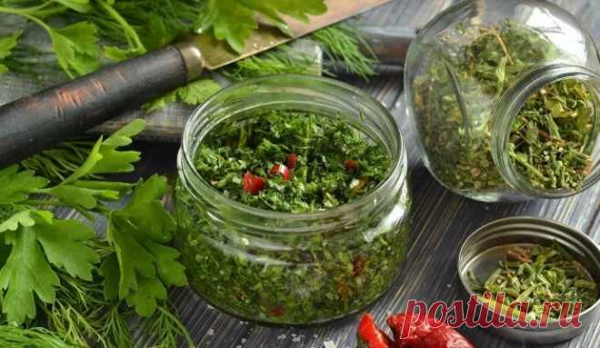 Кинза на зиму: как сохранить пряную и ароматную зелень.