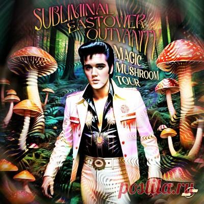 Subliminal (BR) – Magic Mushroom Tour