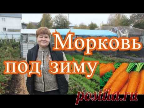 Посадка моркови под зиму. Подготовка грядок. (4.10.16 г. )