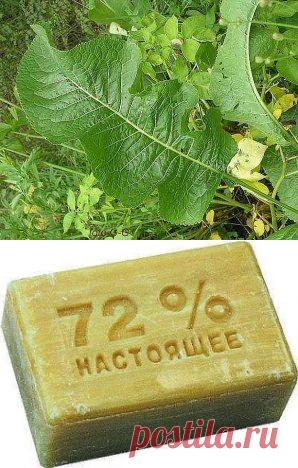 Народные рецепты