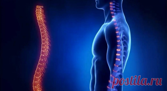 5 упражнений Поля Брегга для восстановления позвоночника - Health
