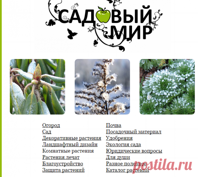 САДОВЫЙ МИР