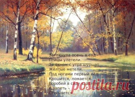 1 СЕНТЯБРЯ!ЗДРАВСТВУЙ ОСЕНЬ!ЗДРАВСТВУЙ ШКОЛА! | ОГОНЁК | Группы Мой Мир