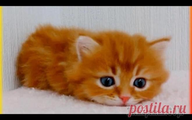 Улыбнитесь