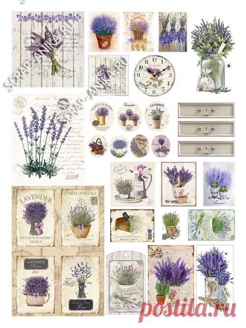 Коллекция 37_19. Винтажные карточки. Лаванда. - Интернет-магазин - scrap-anika.ru