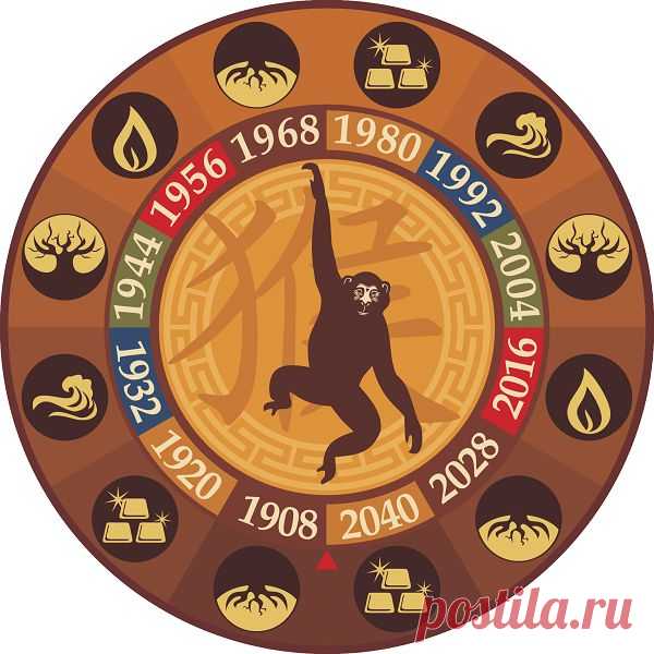 Китайский гороскоп на 2016 год Огненной (Красной) Обезьяны