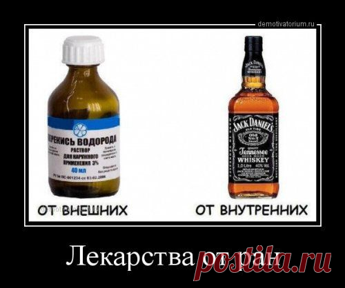 Фотоприкол: очевидное и невероятное? | "Бывает же такое!"