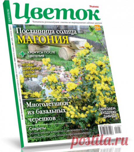 Читать журнал Цветок 07-2021 бесплатно .