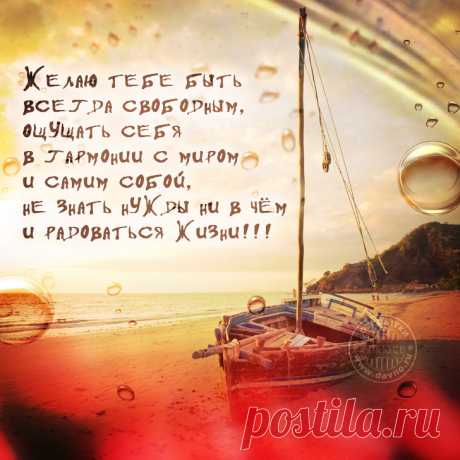 Желаю тебе всегда быть свободным и ощущать себя в гармонии с миром! — открытка №7844 рубрики Открытки с днём рождения по теме: мужчине, папе Желаю тебе всегда быть свободным и ощущать себя в гармонии с миром!. Скачайте бесплатно открытку №7844 из рубрики с днем рождения  по теме мужчине, папе