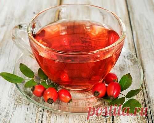 Чтобы молодость продлить, завари шиповник