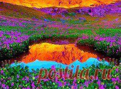 И покуда мы верим в свою мечту, – ничто не случайно...