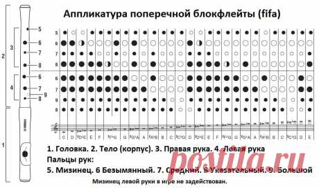 флейта ноты: 2 тыс изображений найдено в Яндекс.Картинках