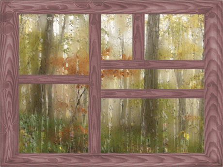 Дождь за окном -