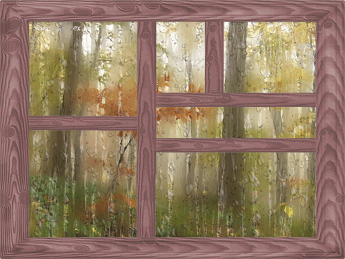 Дождь за окном -