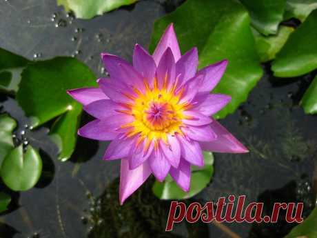 Редактировать описание