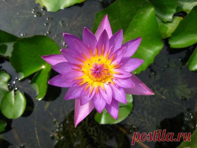 Редактировать описание