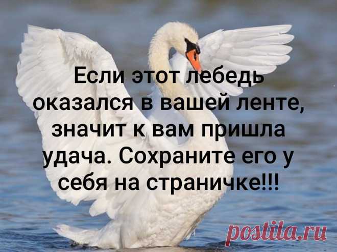 Мой Мир@Mail.Ru