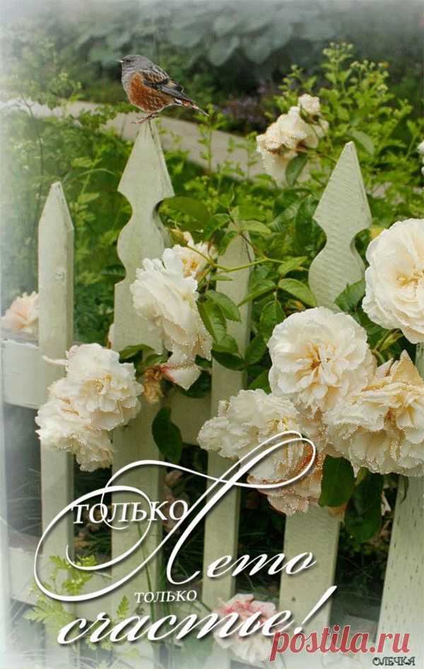 Лето - Анимация - Каталог статей - АниматоРус