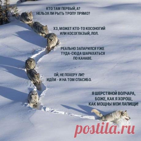 Не могли не поделиться, эта пикча сегодня разрывает интернет. Автор: Ignistiare