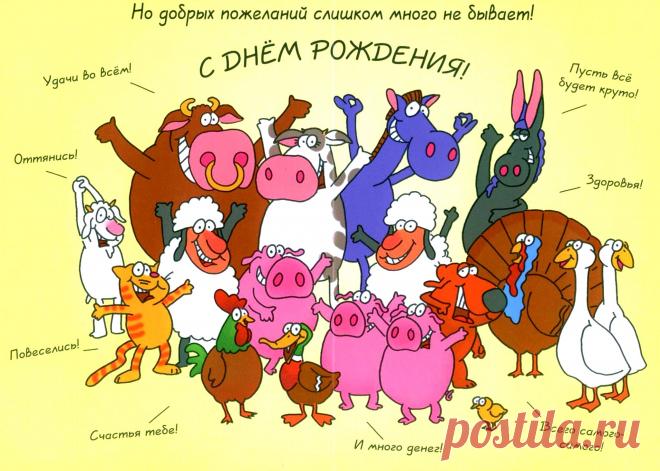 Смешные картинки поздравления девушке «С днем рождения!» (19 фото) ⭐ Забавник