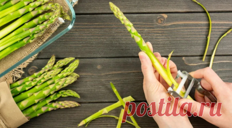 Спаржа - описание продукта, как выбирать, как готовить, читайте на Gastronom.ru