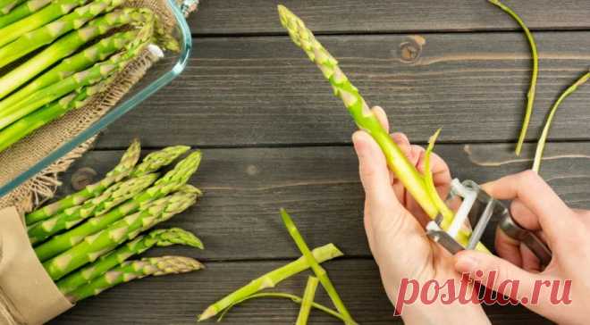 Спаржа - описание продукта, как выбирать, как готовить, читайте на Gastronom.ru