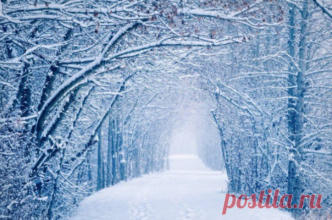 (+1) тема - 17 фотографий о том, что зима — это настоящее волшебство | Полезные советы