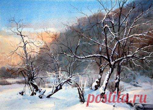 (5) Facebook