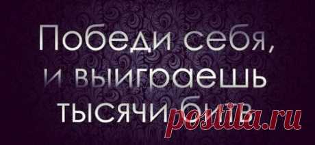 Победи себя и выиграешь тысячи битв | Мир позитивных новостей