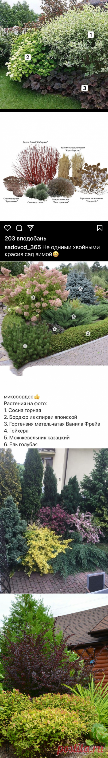(801) Pinterest