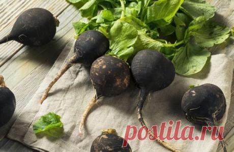 Эффективные способы оздоровления щитовидной железы и избавления от запоров, о которых Вы могли не зн