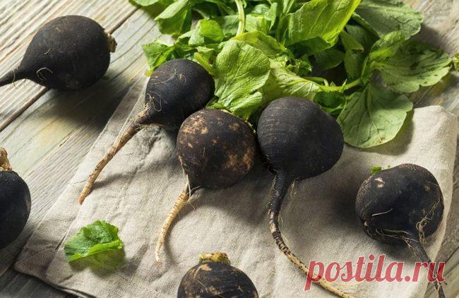 Эффективные способы оздоровления щитовидной железы и избавления от запоров, о которых Вы могли не зн