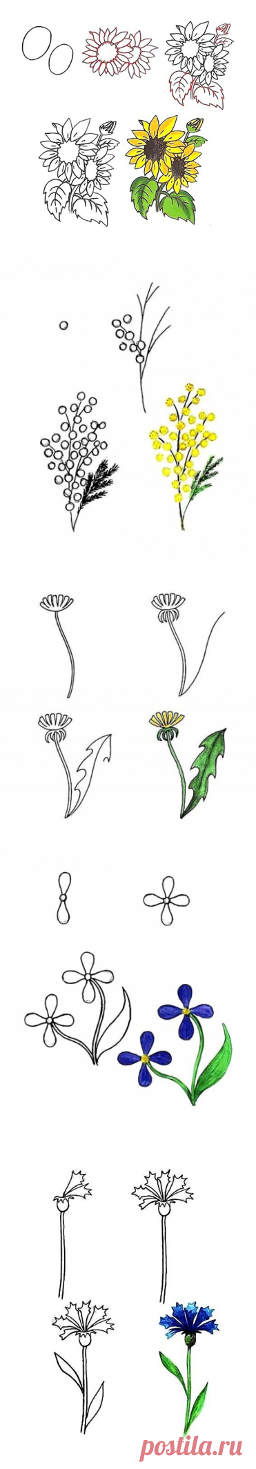 Учимся рисовать цветы - Поделки с детьми | Деткиподелки