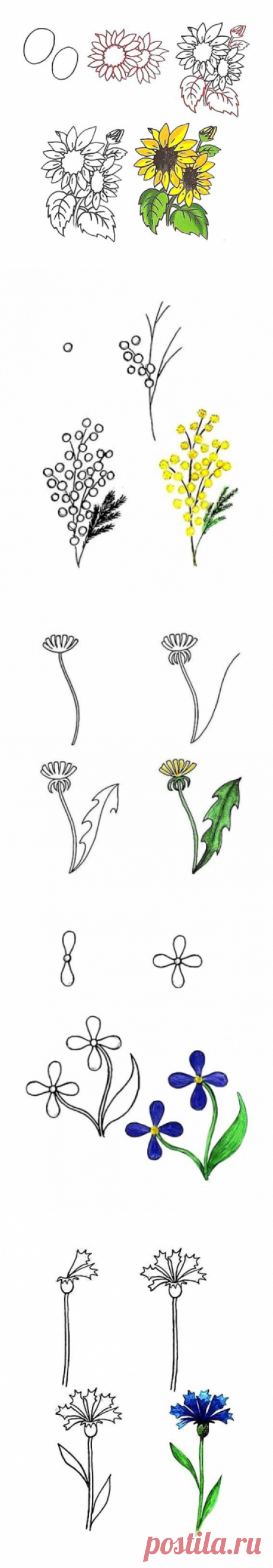 Учимся рисовать цветы - Поделки с детьми | Деткиподелки