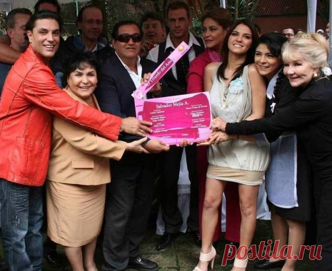 Триумф любви (2010)