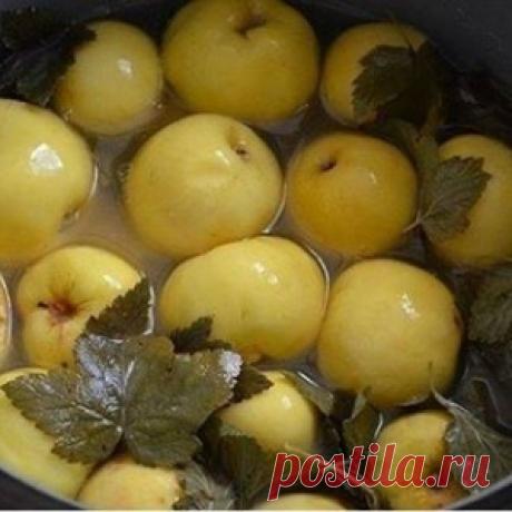 Моченые яблоки - лучший рецепт августа!