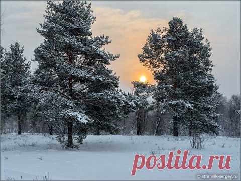 Красивая лыжня