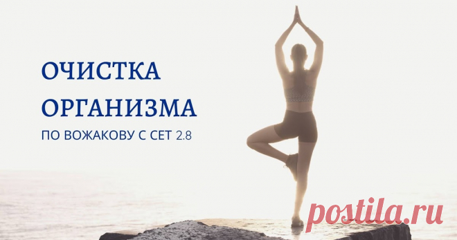 Очистка организма по Вожакову с СЕТ 2.8 К весне всем нам хочется быть в форме? Не только хорошо выглядеть, но и быть здоровым.

Поэтому к весне мы всегда проходим программу 