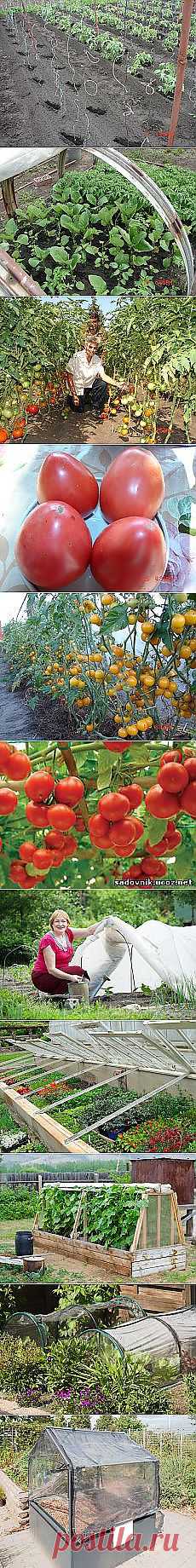 Узоры для вязания крючком . Обсуждение на... и другие материалы. Новое в Вашей подборке на Постила.ru - hyanhe@mail.ru - Почта Mail.Ru