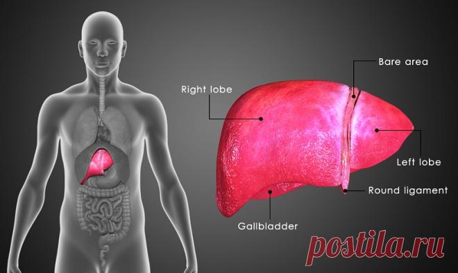 Выжми 1 лимон, смешай с 1 столовой ложкой оливкового масла. Теперь вовек меня не забудешь! Спасательный совет! | Хитрости жизни