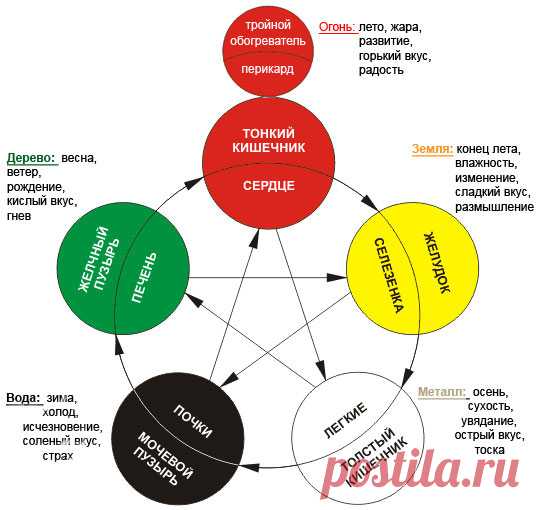 Теория У-Син (пяти Первоэлементов) | WEBMEDCHINA.RU