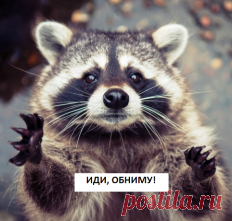 Милота без границ