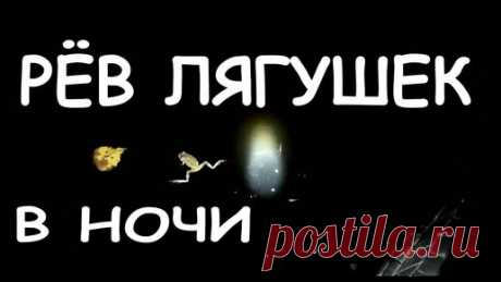 Дача Своими Руками. | Мой дачный пруд. в пруду. Звуки природы. Рёв лягушек